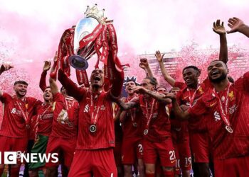 Soccer and different premium TV being pirated at ‘industrial scale’