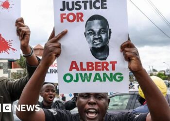 Kenyan law enforcement officials charged with blogger