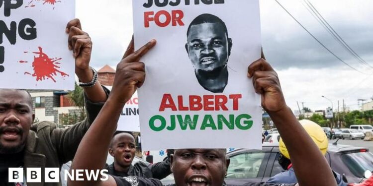 Kenyan law enforcement officials charged with blogger