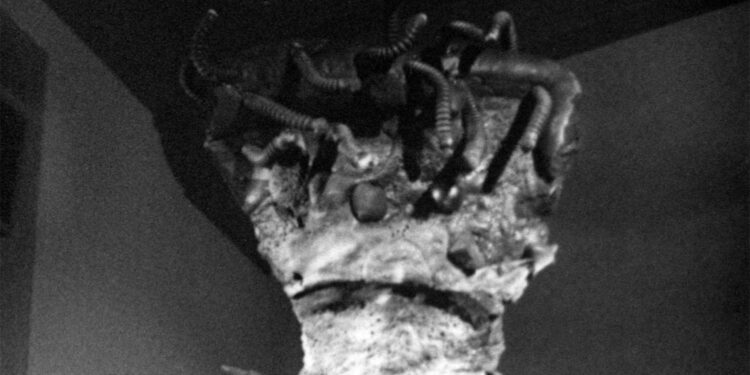 THE CREEPING TERROR 1964 movie evaluations free on-line