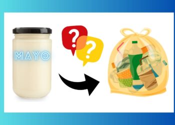 Does Mayo Go Dangerous? All the pieces You Must Know