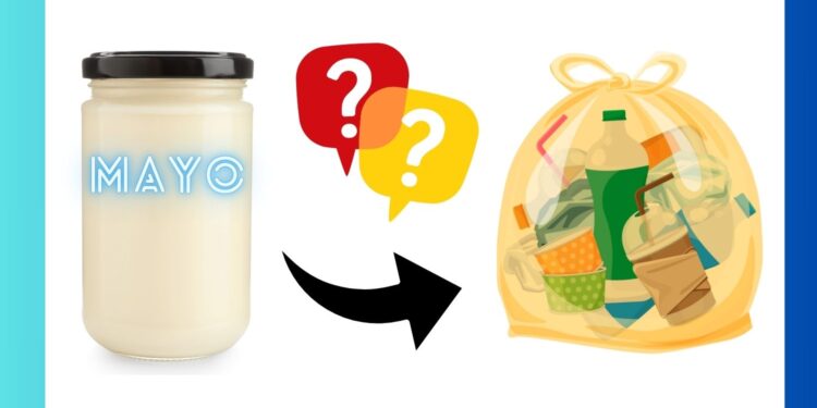 Does Mayo Go Dangerous? All the pieces You Must Know