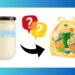 Does Mayo Go Dangerous? All the pieces You Must Know