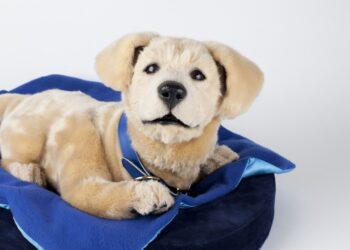 Tombot secures $6.1M for robotic pet