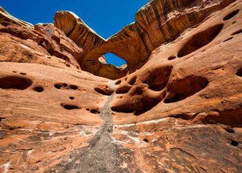Greatest Hikes in Moab, Utah: 12 Trails That Really Reside As much as the Hype