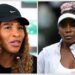 Ex‑Wimbledon line decide reveals ‘intense’ expertise of officiating Venus & Serena Williams’ conflict