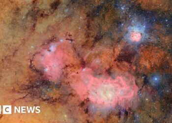 First celestial picture from revolutionary telescope