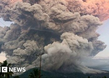 Bali flights cancelled after Indonesia’s Lewotobi volcano erupts