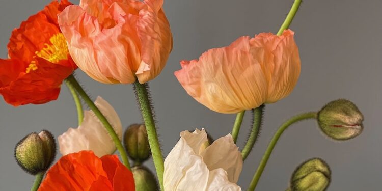 Have a Pretty Weekend. | Cup of Jo