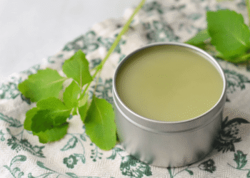 DIY Jewelweed Salve For Poison Ivy (and Extra!)