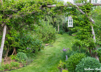 How To Rework Your Yard Right into a Permaculture Paradise