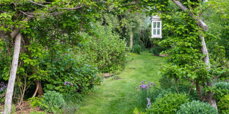 How To Rework Your Yard Right into a Permaculture Paradise