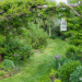 How To Rework Your Yard Right into a Permaculture Paradise