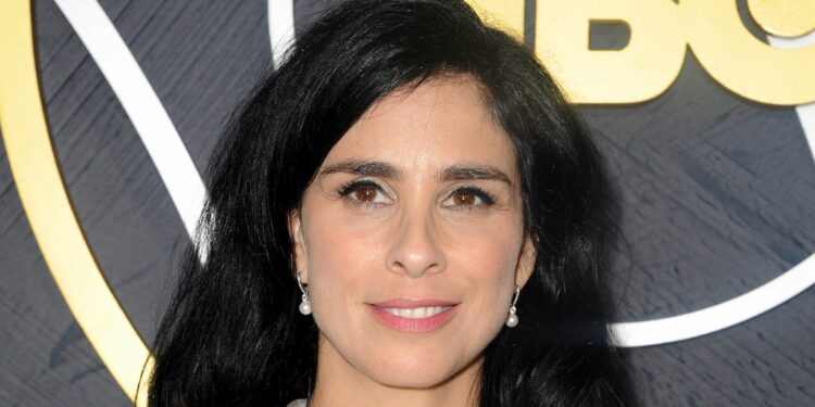 Courtroom shoots down Sarah Silverman’s case towards Meta’s AI – however declares utilizing copyrighted works for coaching is NOT ‘honest use’
