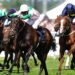 Royal Ascot: Last day headlined by cracking Queen Elizabeth II Jubilee Stakes and Lazzat | Racing Information