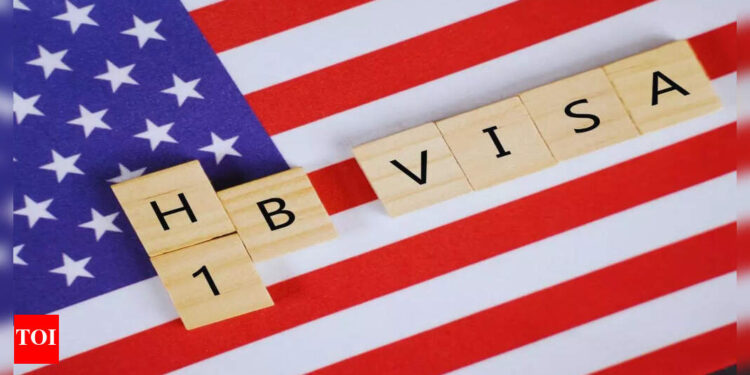 H-1B wage ranges: What’s going to change within the new US immigration guidelines that may finish visa lottery?