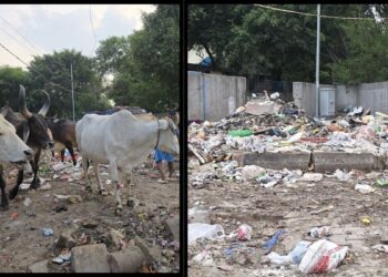 ‘Fed up with civic chaos, many flee Gurugram’: French expat says taxpayers are shifting again to Delhi or leaving India for good