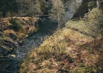 River Crossing from Brazzaville to Kinshasa – How To Keep away from Getting Scammed