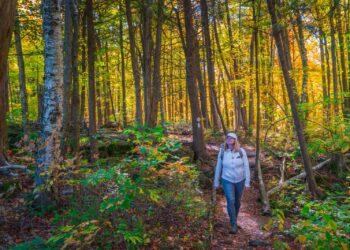 22 Greatest Locations to Go to in September USA (2025 Version)