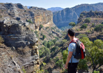 Why You Cannot Admire One With out the Different