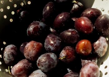 Have a Beautiful Weekend. | Cup of Jo