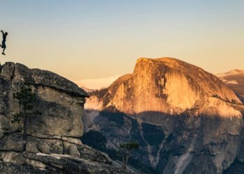 Security Wing Evaluate (Up to date 2025)