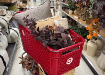 New Fall House Decor from Goal