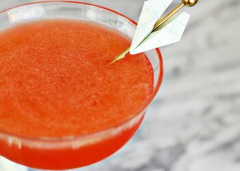 Paper Aircraft Cocktail – A Stunning Mess