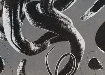 You Would possibly Be Internet hosting a Parasite Proper Now. Here is Tips on how to Inform