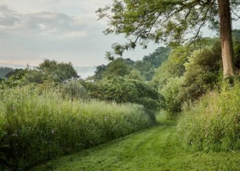 Do You Ever Go to Gardens?