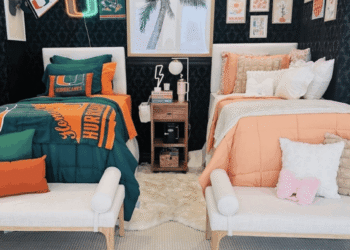 Again to Faculty, Again to Sleep: The Sheet Improve You Desperately Want