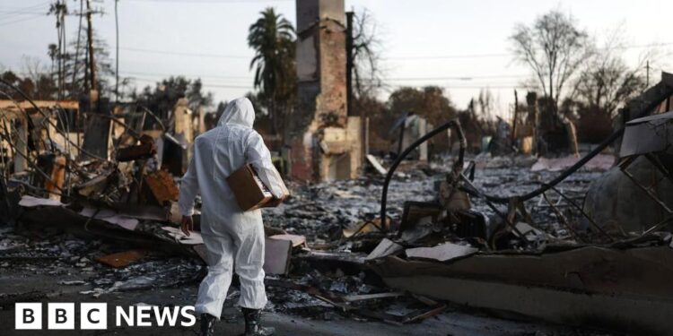 Greater than 400 oblique deaths linked to LA wildfires, research says