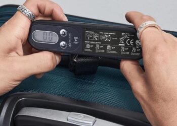 Get a Baggage Scale and Tracker for Simply $15 in This Loopy Flash Deal