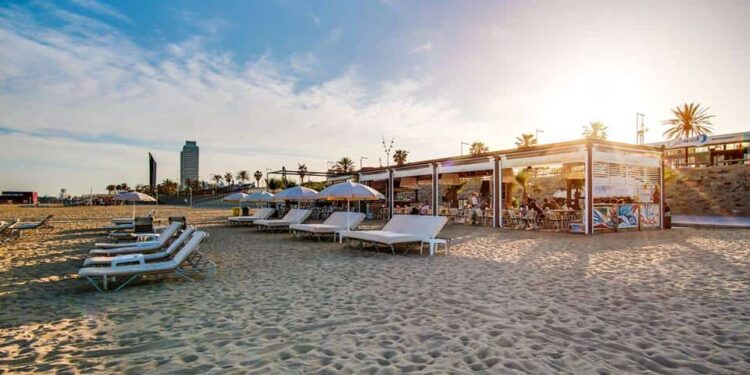 Seaside Bites on a Price range: Prime Low cost Chiringuitos in Barcelona