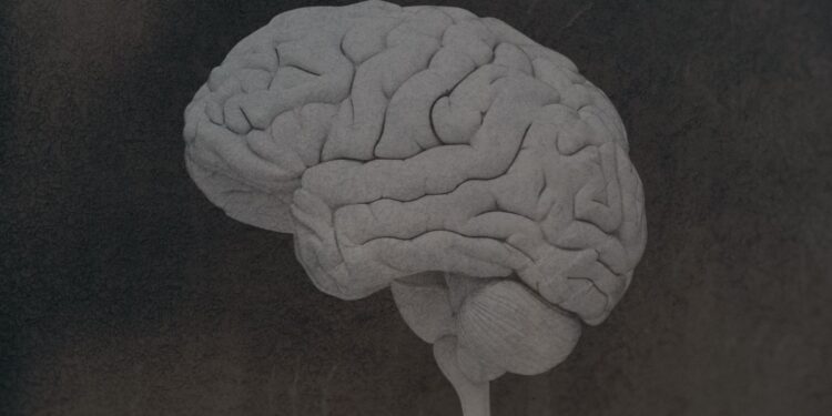 What to Know Concerning the Mind Illness CTE