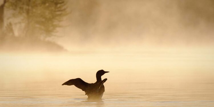 17 Finest Issues to Do within the Higher Peninsula, Michigan (2025 Information)