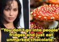 Zoe Kravitz By chance Gave Individuals Hallucinogens