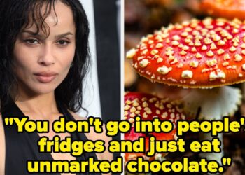Zoe Kravitz By chance Gave Individuals Hallucinogens