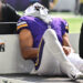 Vikings’ potential breakout star suffers ‘vital’ harm