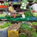 Retail inflation rose to 2.07% in August from 1.55% in July: Govt knowledge