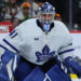 Maple Leafs, Anthony Stolarz transferring towards contract extension