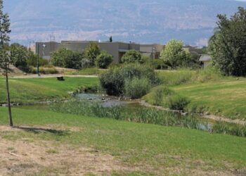 Home on Galilee kibbutz bought for NIS 5.05m