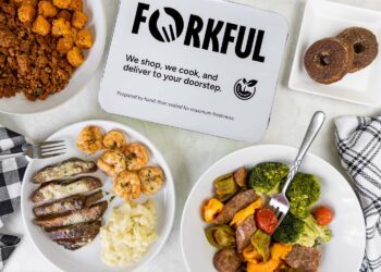 Forkful Evaluate: Is This Meal Supply Plan Price It?