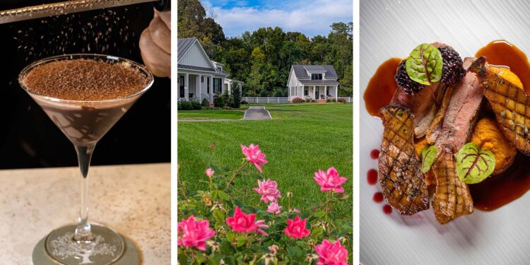 The Oaks Waterfront Lodge Evaluate: Japanese Shore Luxurious