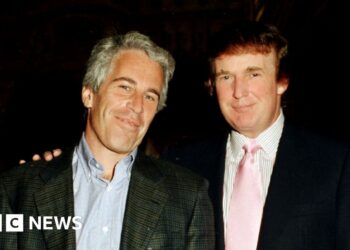 US lawmakers launch Epstein ‘birthday e-book’ with alleged Trump observe