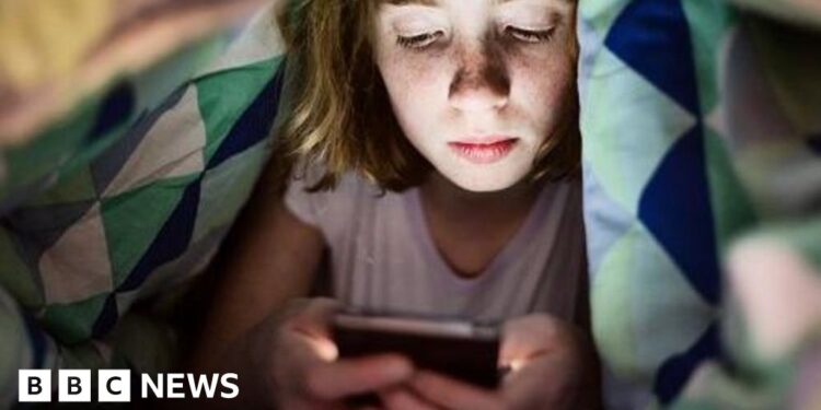 Security of AI chatbots for kids and youths faces US inquiry