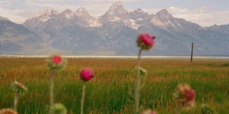 Have a Beautiful Weekend. | Cup of Jo