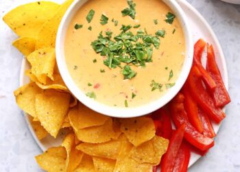 Rotel Dip – A Stunning Mess