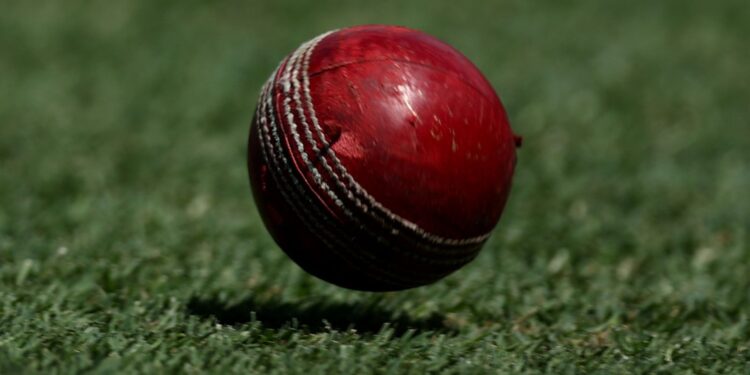 English cricket determine investigated over sexual assault, spiking allegations by Metropolitan Police | Cricket Information