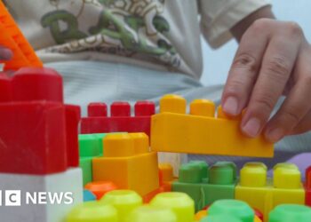 Two arrested over cyber-attack on nursery chain